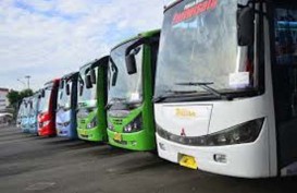 Larangan Mudik, Bus AKAP Bali Bisa Merugi Sampai Rp9 Miliar